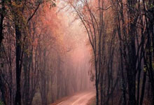 下一站CBA?杜克三少2人签亿元合同 被誉为下一个麦迪的他25岁被裁.