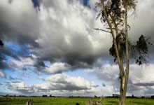 多多28官网:彻底崩盘?印尼35分钟0-3落后澳大利亚,欧文门前两连击得手.