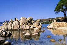 布拉伊达：阿莱格里已经很了解米兰，这是他的优势.